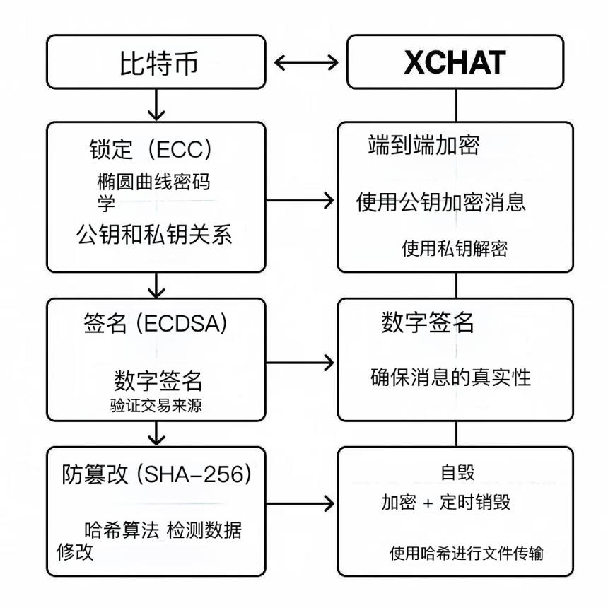 马斯克发力 XChat：“比特币风格”的加密架构到底是个啥？