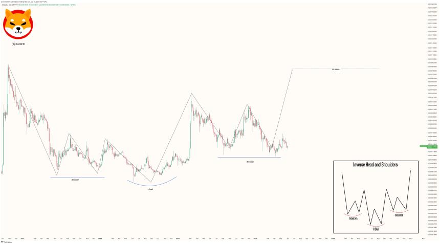 Shiba Inu Price Chart Javon Marks