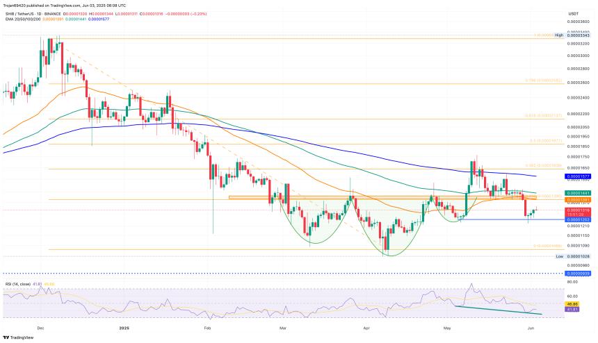 BINANCE:SHIBUSDT Chart Image by Trojan69420