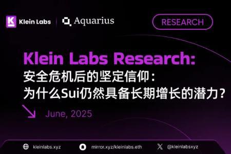 安全危机后的坚定信仰:为什么SUI仍然具备长期增长的潜力?