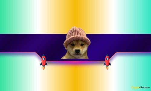 Dogwifhat (WIF) 每日涨幅达 17%:未来走势与风险分析