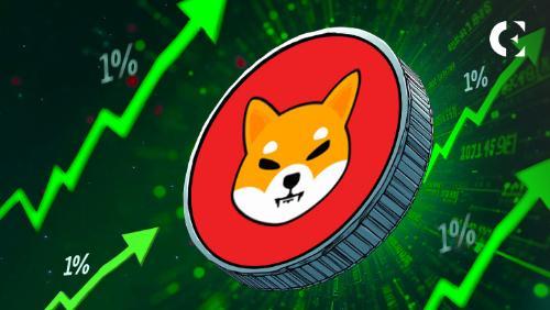 柴犬价格走势现关键看涨信号:倒头肩形态或预示趋势逆转