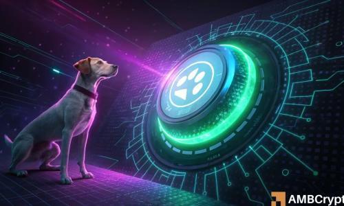 dogwifhat：如何在 WIF 短期下跌中寻找投资机会