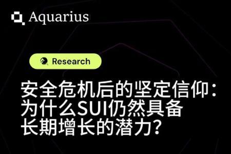 安全危机后的坚定信仰:为什么 SUI 仍然具备长期增长的潜力?
