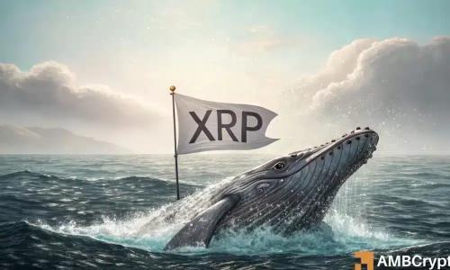 XRP链上支付量骤降45%:熊市信号还是潜在买入机会?