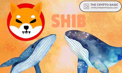 揭秘:Wintermute将3600万美元柴犬币从BitGo转移至Coinbase Prime