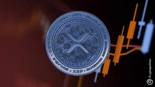 XRP律师称，Ripple案或在12天内迎来关键转折点