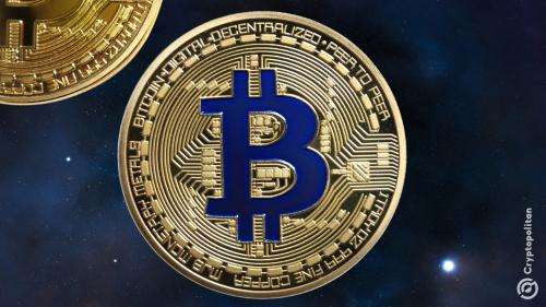 BTC鲸鱼重回增持模式:市场动态与宏观因素分析