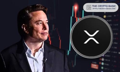TRIBLU创始人:马斯克或全力推动XRP成为X支付生态核心