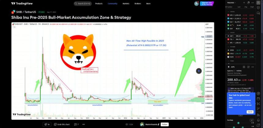 交易视图 SHIB Bull Market Accumulation Analysis