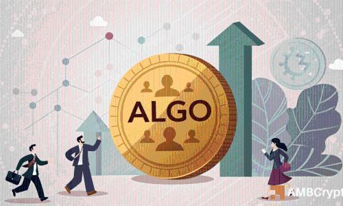 Algorand活跃地址激增72%，但ALGO价格为何依然低迷？