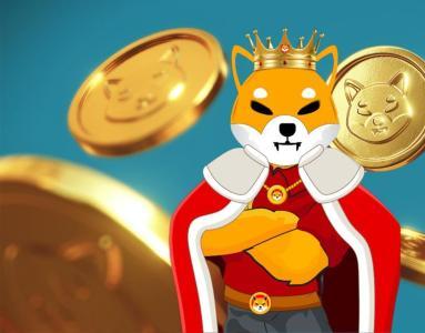 关于柴犬(SHIB)加密货币的 3 个鲜为人知的事实