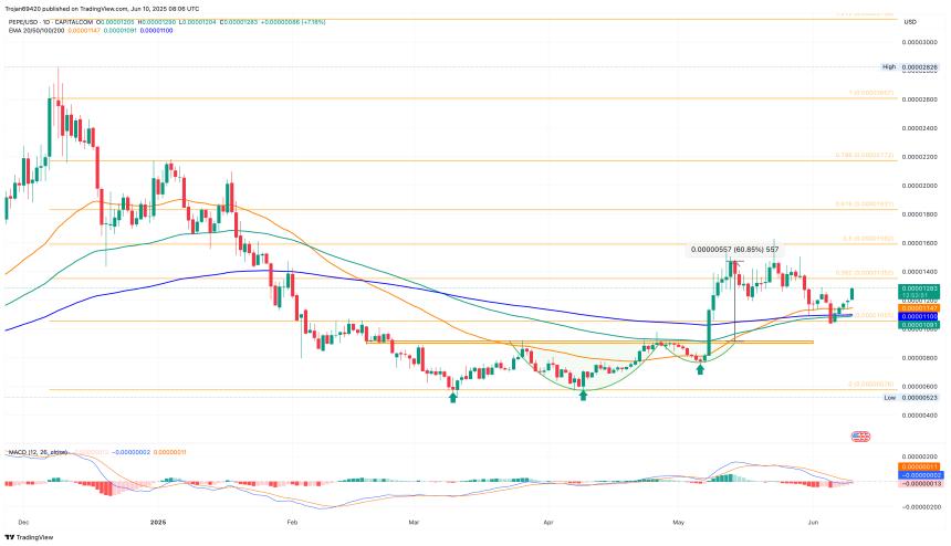 PEPE Price Chart