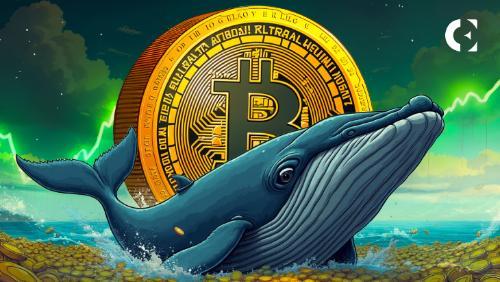 巨鲸20倍杠杆押注或推动比特币再创新高