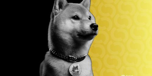 Dogecoin即将通过Do<span class='keyword'>g</span>eOS和PlaysOut获得大量游戏