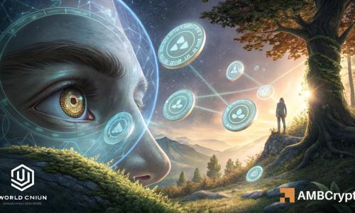 Worldcoin Layer-2 升级推动 TVL 飙升至 5000 万美元，WLD 能否守住关键支撑？