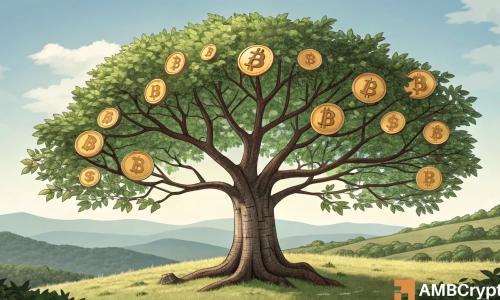 比特币：超越历史高点的信号显现，长期投资者信心依旧