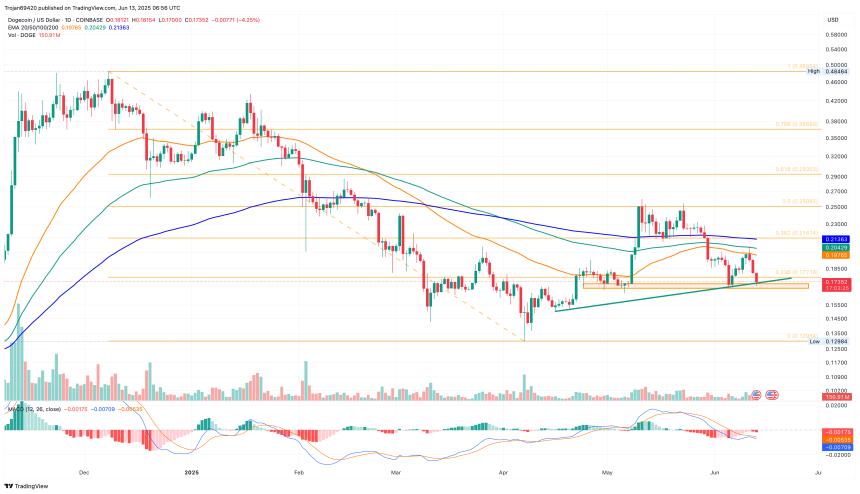 Dogecoin price chart