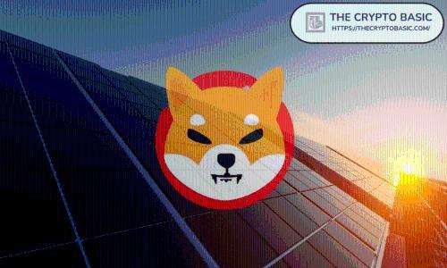 5亿柴犬代币的现价与2035年潜在价值分析