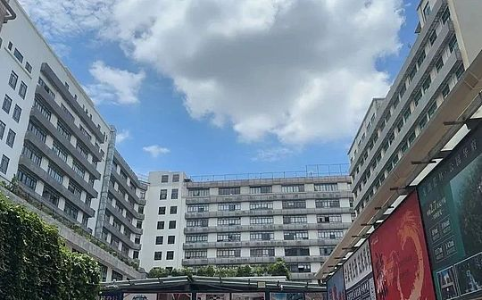 隐匿的杀洋盘：“领导说是帮外国用户保管虚拟币”