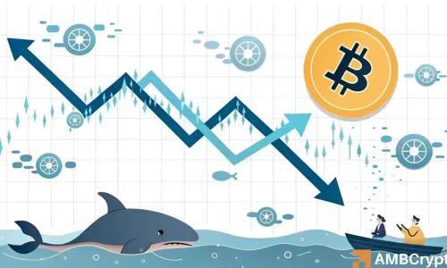 比特币交易所流入量创新低,价格走势或迎关键转折