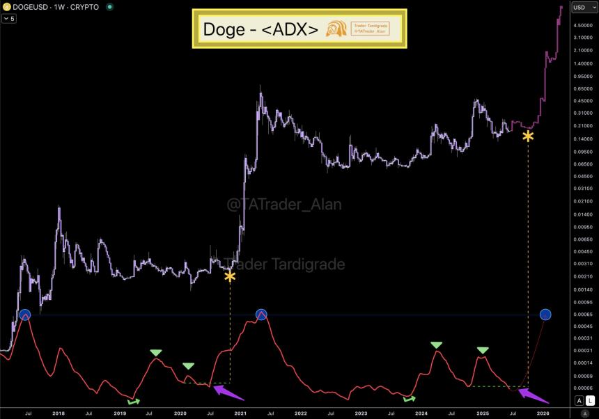Dogecoin ADX Trader Tardigrade