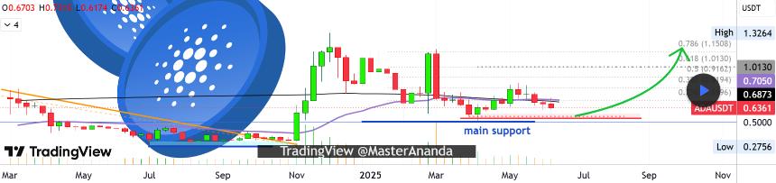 Cardano Analysis MasterAnanda