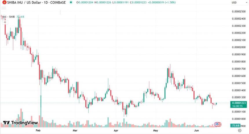 Shiba Inu SHIB Support and Resistance Level