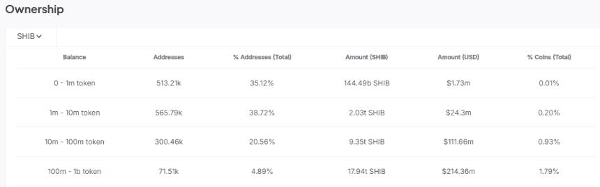 Addresses holding 100M SHIB