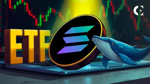 Solana（SOL）价格分析：鲸鱼交易、ETF延迟与技术面看跌信号