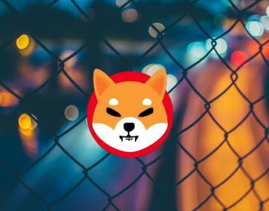 柴犬:SHIB从历史最低点飙升2000万个百分点