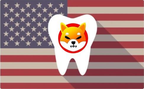 美国牙科公司Amore Smiles正式接受柴犬币支付