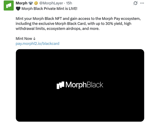 消费级区块链 Morph 的创新实践：以支付为纽带，构建全新金融生态