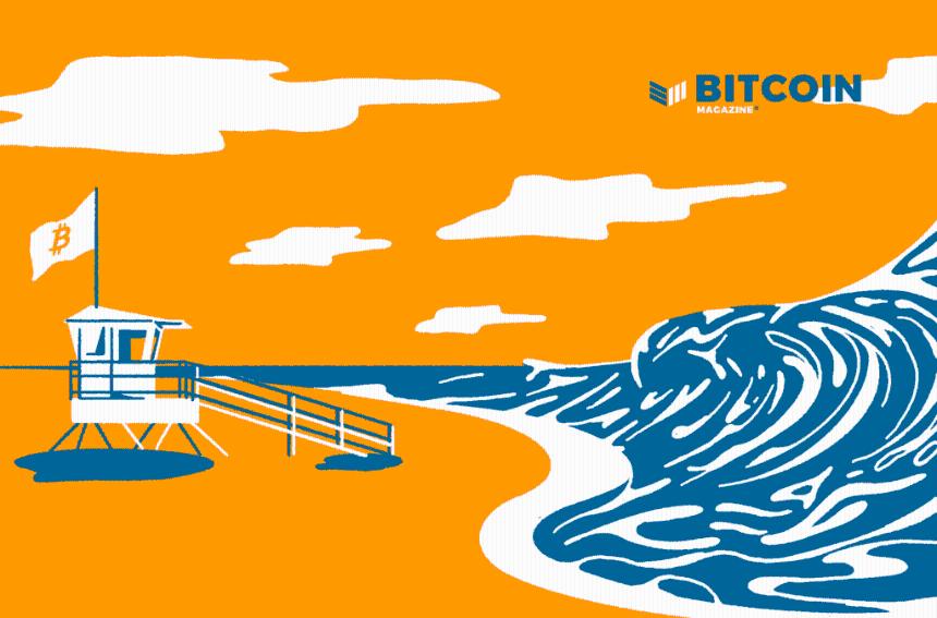 Bitcoin Tech Booms: Lightning Data Defies Digital Gold Narrative 6 Bitcoin Tech Booms: Lightning Metrics Defy Digital Gold Narrative