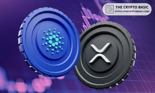 CryptosRus创始人:XRP与Cardano的潜在合作或将引发行业巨变