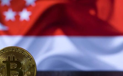 新加坡Web3监管风暴:隐形巨头崭露头角