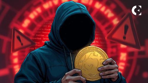 链上侦探 ZachXBT 警告：加密货币行业正深陷“犯罪超级周期”