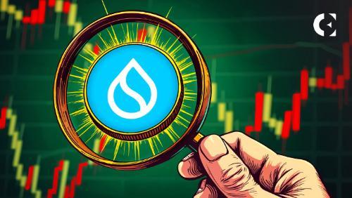 Sui（SUI）为何可能成为下一轮加密货币牛市的领头羊
