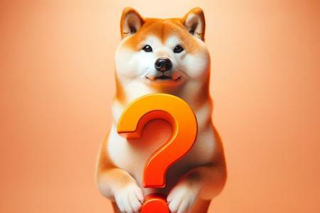 柴犬价格上涨的关键因素：炒作与采用率的重要性