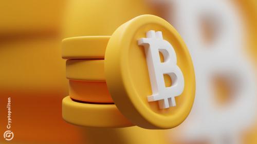 Cardone Capital大力押注比特币:新增1000枚BTC储备,加速资产多元化布局