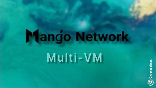Mango Network的多虚拟机架构能否有效解决DeFi流动性分散问题？