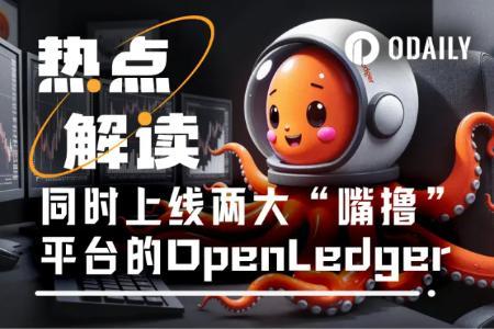 OpenLedger上线Kaito与Cookie平台,开启全新互动机遇