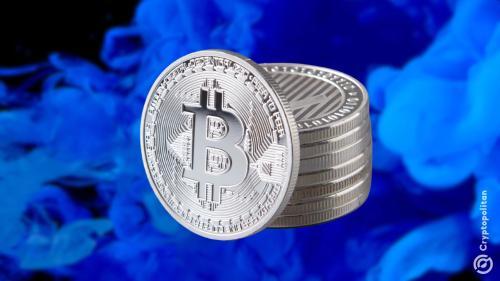 机构信心推动比特币市场:企业大规模增持比特币