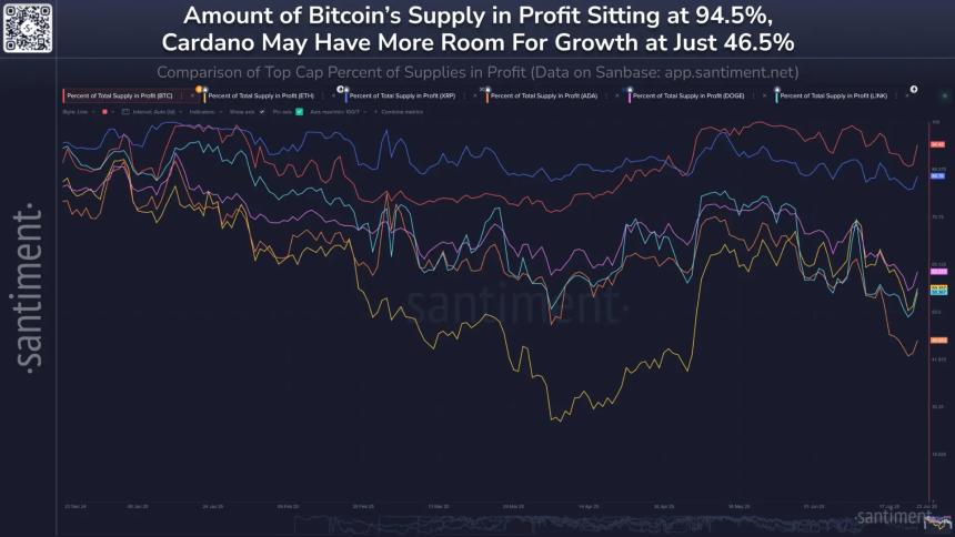 95% of BTC is in the green, ADA lags in large cap tokens profitability ratio