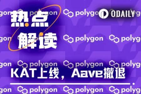5万美元赌局背后：<span class='keyword'>Po</span>lygon新币KAT为何陷入争议？