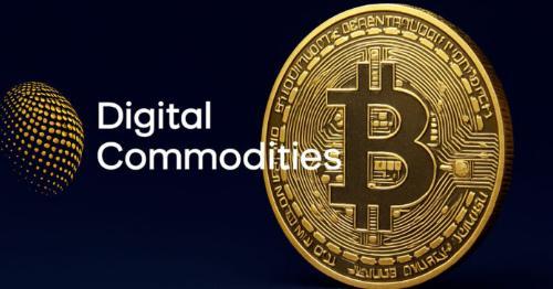 Digital Commodities 完成 300 万美元融资，专注扩大比特币持有规模