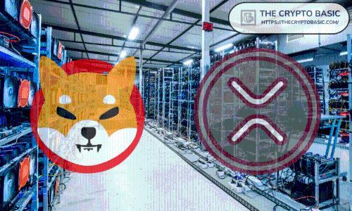 如果柴犬市值达到XRP历史最高水平,SHIB价格或将飙升至0.0003224美元