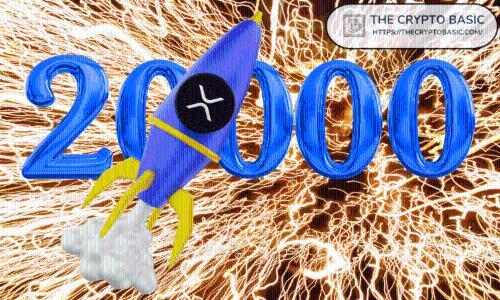 顶级开发者解析：XRP如何迈向20,000美元大关