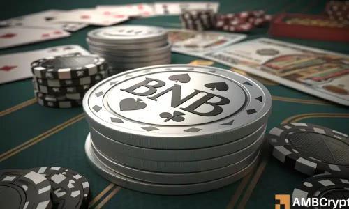 BNB链开发者活动骤降85%,生态可持续性面临严峻挑战