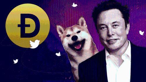 没有埃隆·马斯克的支持，狗狗币能否继续崛起？